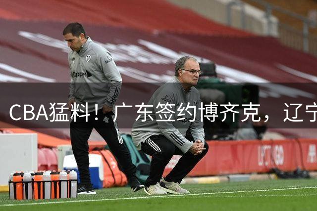 CBA猛料！广东签约博齐克，辽宁两外援到位，山东男篮接触帕克